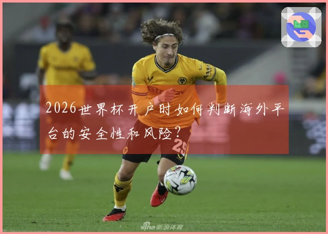 2026世界杯开户时如何判断海外平台的安全性和风险？