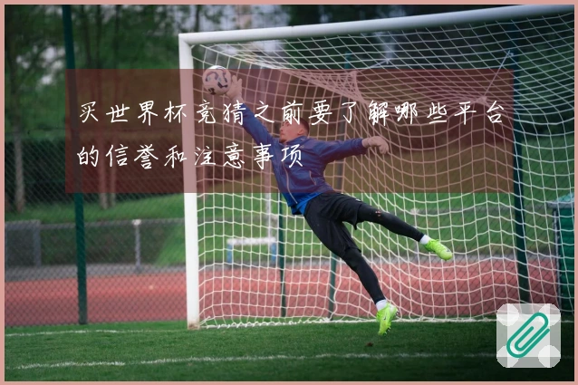 买世界杯竞猜之前要了解哪些平台的信誉和注意事项