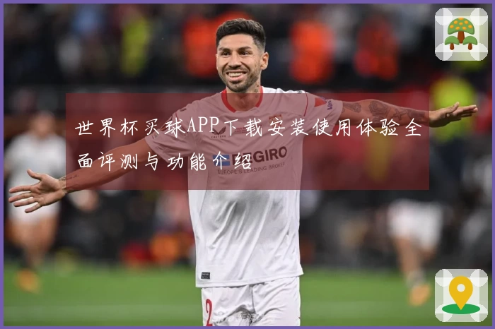 世界杯买球APP下载安装使用体验全面评测与功能介绍