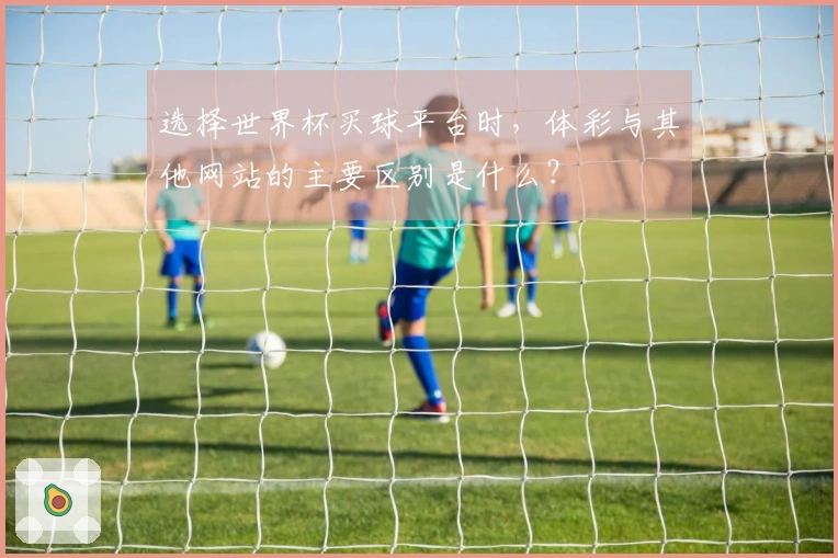 选择世界杯买球平台时，体彩与其他网站的主要区别是什么？