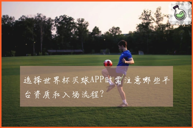 选择世界杯买球APP时需注意哪些平台资质和入场流程？