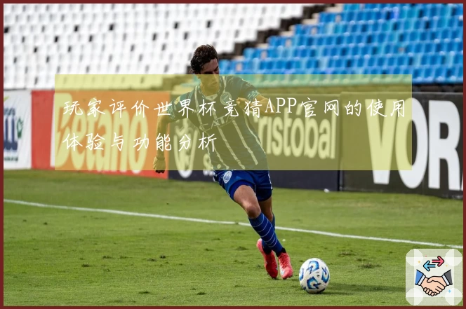 玩家评价世界杯竞猜APP官网的使用体验与功能分析