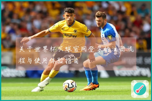 关于世界杯买球官网登录的注册流程与使用体验指南