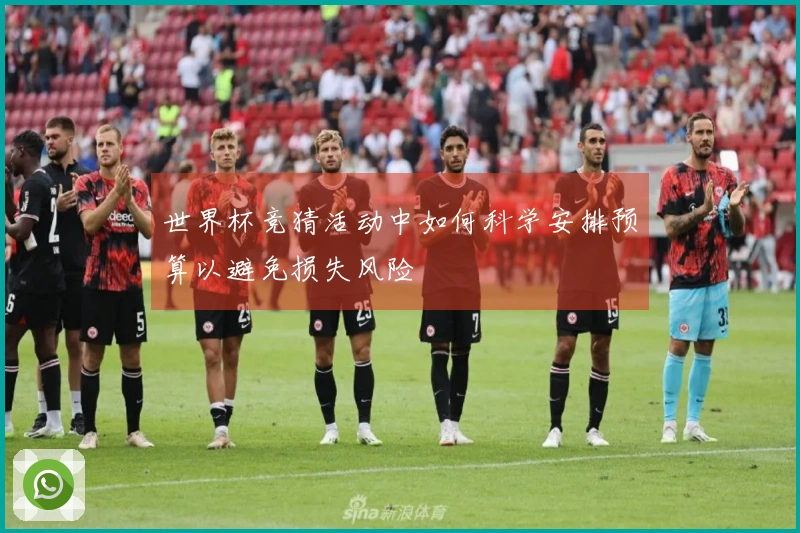 世界杯竞猜活动中如何科学安排预算以避免损失风险