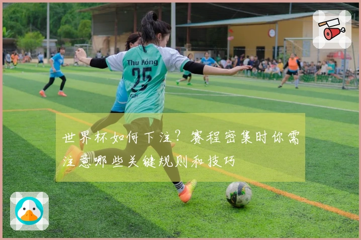 世界杯如何下注？赛程密集时你需注意哪些关键规则和技巧