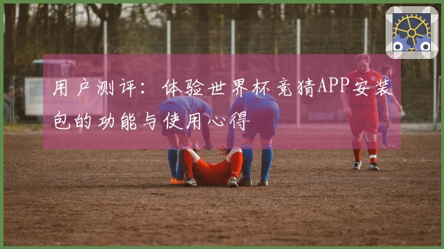 用户测评：体验世界杯竞猜APP安装包的功能与使用心得