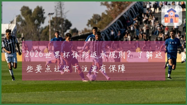 2026世界杯体彩返水规则？了解这些要点让你下注更有保障