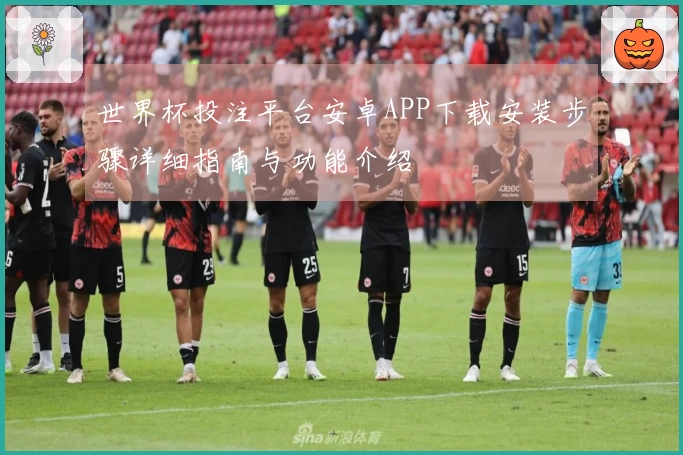 世界杯投注平台安卓APP下载安装步骤详细指南与功能介绍