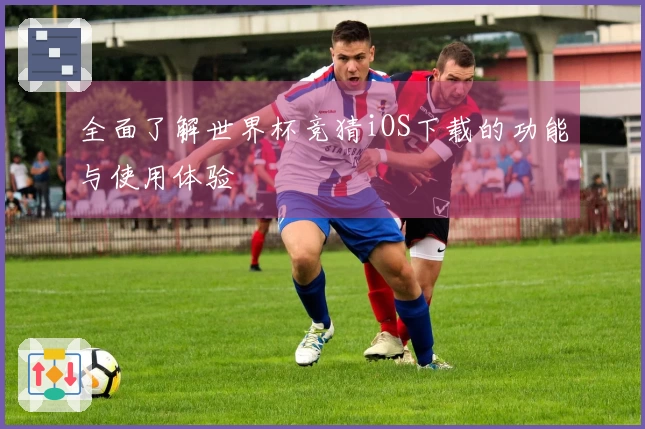 全面了解世界杯竞猜iOS下载的功能与使用体验