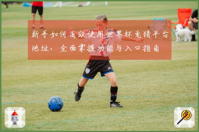 新手如何高效使用世界杯竞猜平台地址，全面掌握功能与入口指南