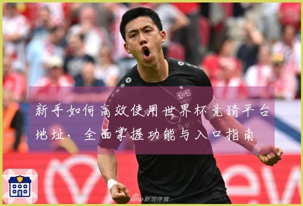 新手如何高效使用世界杯竞猜平台地址,全面掌握功能与入口指南