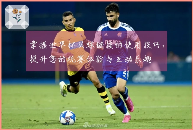 掌握世界杯买球链接的使用技巧，提升您的观赛体验与互动乐趣