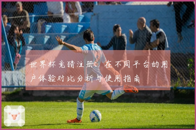 世界杯竞猜注册：在不同平台的用户体验对比分析与使用指南