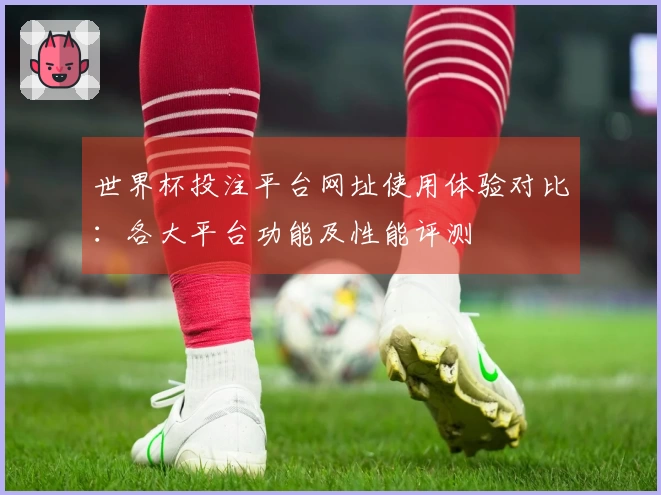 世界杯投注平台网址使用体验对比：各大平台功能及性能评测