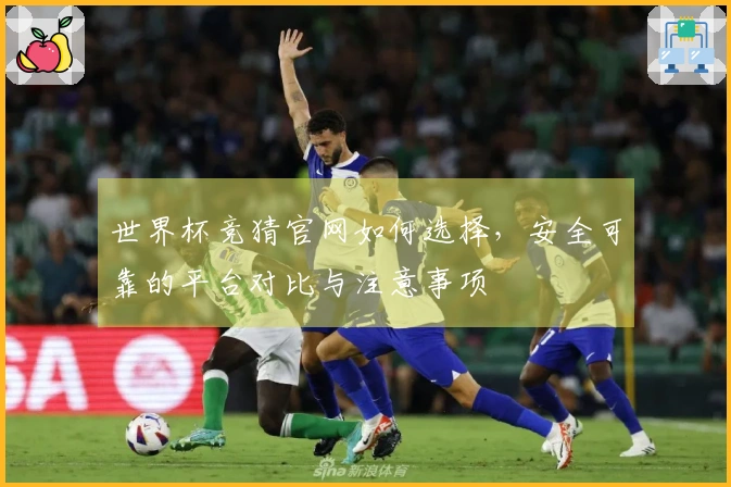 世界杯竞猜官网如何选择,安全可靠的平台对比与注意事项