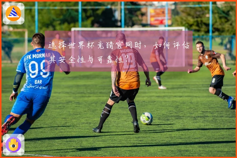 选择世界杯竞猜官网时，如何评估其安全性与可靠性？